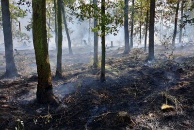 Waldbrand in Grimma ausgebrochen: Löscharbeiten dauern noch immer an - Die Löscharbeiten dauern noch immer an. Foto: Sören Müller