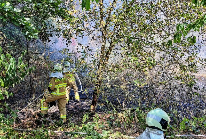 In Grimma ist ein Waldbrand ausgebrochen. Foto: Sören Müller