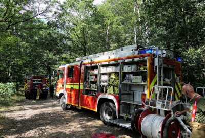 Waldbrand in Grimma ausgebrochen: Löscharbeiten dauern noch immer an - In Grimma ist ein Waldbrand ausgebrochen. Foto: Sören Müller