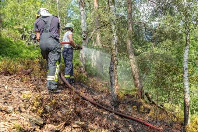 Waldbrand in Schneeberg: Schon jetzt Hitze-Auswirkungen? - Warum es in Schneeberg zu dem Waldbrand kam, ist bisher noch unbekannt.