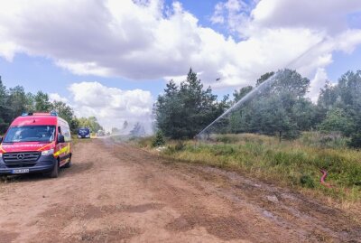 In der Gohrischheide zwischen Riesa und Elsterwerda brennt es seit 3 Tagen auf einer Fläche von 150 Hektar. Foto: ArcheoPix