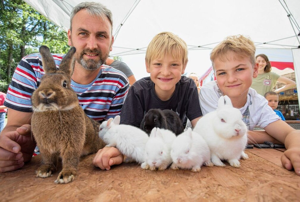René Weigelt, Hugo Schlesinger und Conrad Weigelt (v.l.) züchten Kaninchen. Ihre Zuchtergebnisse sind am Wochenende in Walthersdorf zu sehen gewesen. Foto: Jan Görner