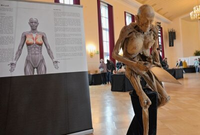 Wanderausstellung "Echte Körper - Von den Toten lernen" in Oelsnitz - In der Stadthalle in Oelsnitz ist die Wanderausstellung "Echte Körper - Von den Toten lernen" zu sehen. Foto: Ralf Wendland