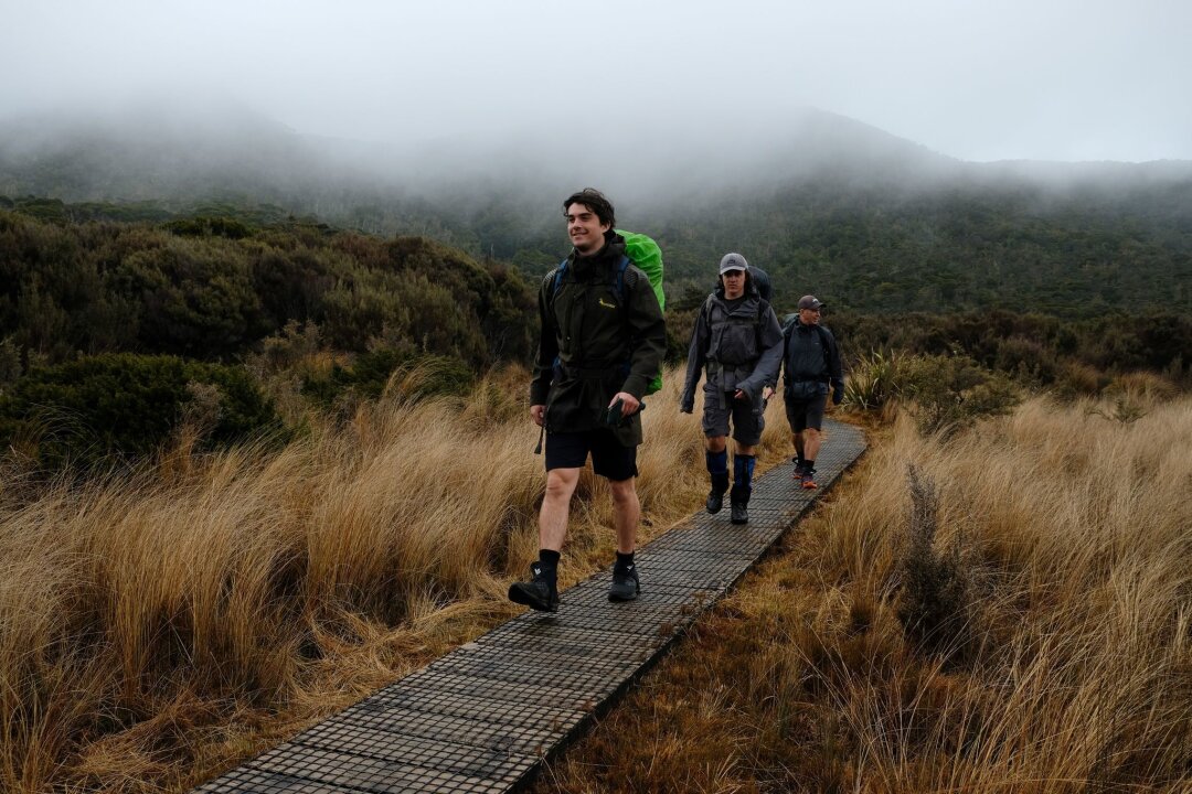 Wandern mit schrägen Vögeln: Neuseelands Heaphy Track - Auf dem Holzweg durch den Nieselregen: Mit der richtigen Einstellung ist auch das ein Genuss auf dem Heaphy Track.