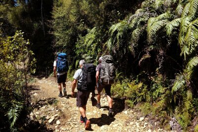 Wandern mit schrägen Vögeln: Neuseelands Heaphy Track - Bepackt: Auf der viertägigen Tour müssen Wanderer neben Schlafsäcken und Co. unter anderem auch ihr Essen mittragen. Gekocht wird in den Hütten selbst.