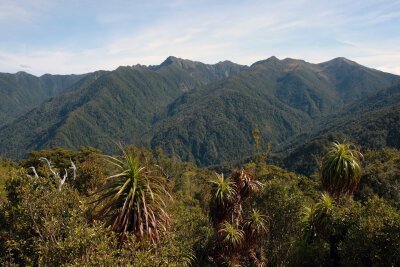 Wandern mit schrägen Vögeln: Neuseelands Heaphy Track - Aussicht von Flanagan's Corner, dem mit 915 Metern höchsten Punkt der Tour.