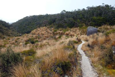 Wandern mit schrägen Vögeln: Neuseelands Heaphy Track - Tussockgras, Neuseeländer Flachs und dornige Matagouri-Büsche: Und hindurch mäandert in den Gouland Downs der steinige Pfad.