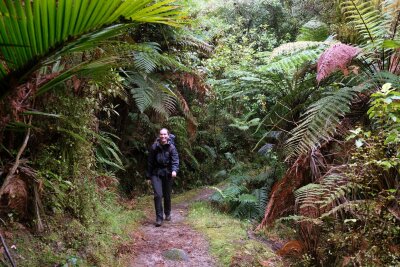 Wandern mit schrägen Vögeln: Neuseelands Heaphy Track - Caroline Webb ist schon viele Wege Neuseelands gewandert, der Heaphy Track aber ist ihr erster Great Walk.