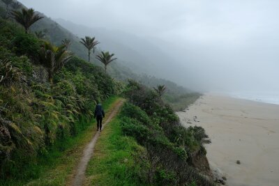 Wandern mit schrägen Vögeln: Neuseelands Heaphy Track - Sicherheitsabstand: Um vor Sturmfluten geschützt zu sein, verläuft der Pfad meist oberhalb der Strände.