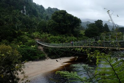 Wandern mit schrägen Vögeln: Neuseelands Heaphy Track - Flussquerung in der Höhe: Eine Hängebrücke führt über den Heaphy River.