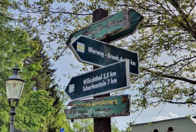 Wanderwege rund um Zschopau erhalten neue Schilder - An diesem Pfahl sind noch alte Hinweistafeln zu sehen, an denen der Zahn der Zeit genagt hat. Foto: Andreas Bauer