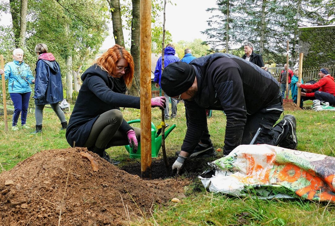 Warum ein kleiner Ort in Mittelsachsen neue Erdenbürger mit Bäumen begrüßt - Nach dem Ausheben der Löcher wurden ein Kirsch-, ein Birn- und zwei Apfelbäume gepflanzt. Foto: Andreas Bauer