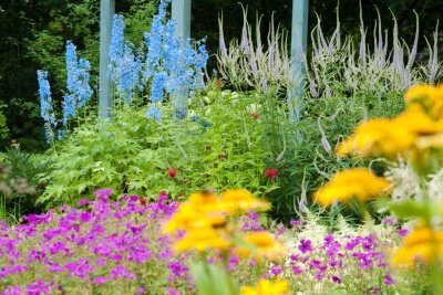 Was Ihr Garten im Sommer braucht - Nicht alle Blumen benötigen im Sommer einen Rückschnitt, aber beim Rittersporn ist es ratsam.