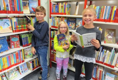 Was Limbach-Oberfrohna in der zweiten Ferienwoche für Kids parat hat - In der Stadtbibliothek wartet eine Vielzahl an verschiedenen Medien. Foto: A.Büchner