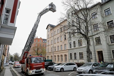 Waschbär flüchtet auf dem Sonnenberg vor Krähen und Feuerwehr - Ein ausgeklügeltes Rettungsmanöver für den Ausreißer. Foto: Chempic