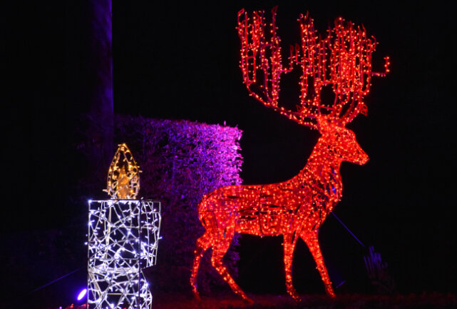Weihnachtlicher Tipp: Lumagica Lichterwelt verzaubert seine Gäste - Die "Lumagica" Lichterweld verzaubert seine Gäste. Foto: Maik Bohn