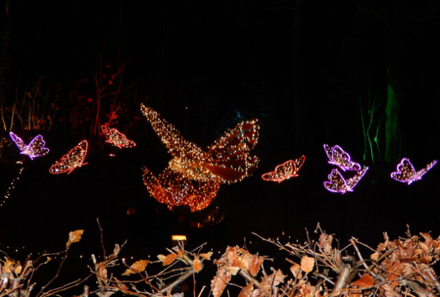 Weihnachtlicher Tipp: Lumagica Lichterwelt verzaubert seine Gäste - Die "Lumagica" Lichterweld verzaubert seine Gäste. Foto: Maik Bohn