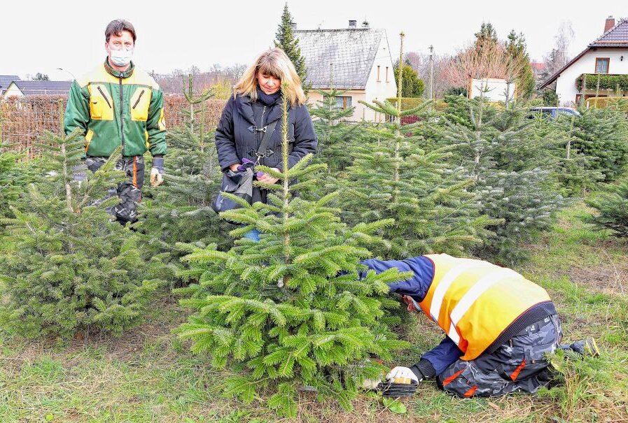 Weihnachtsbäume: Von der Plantage direkt in die eigenen vier Wände - Lars Falke (links) und sein Team hatten Samstag gut zu tun. Foto: Thomas Michel