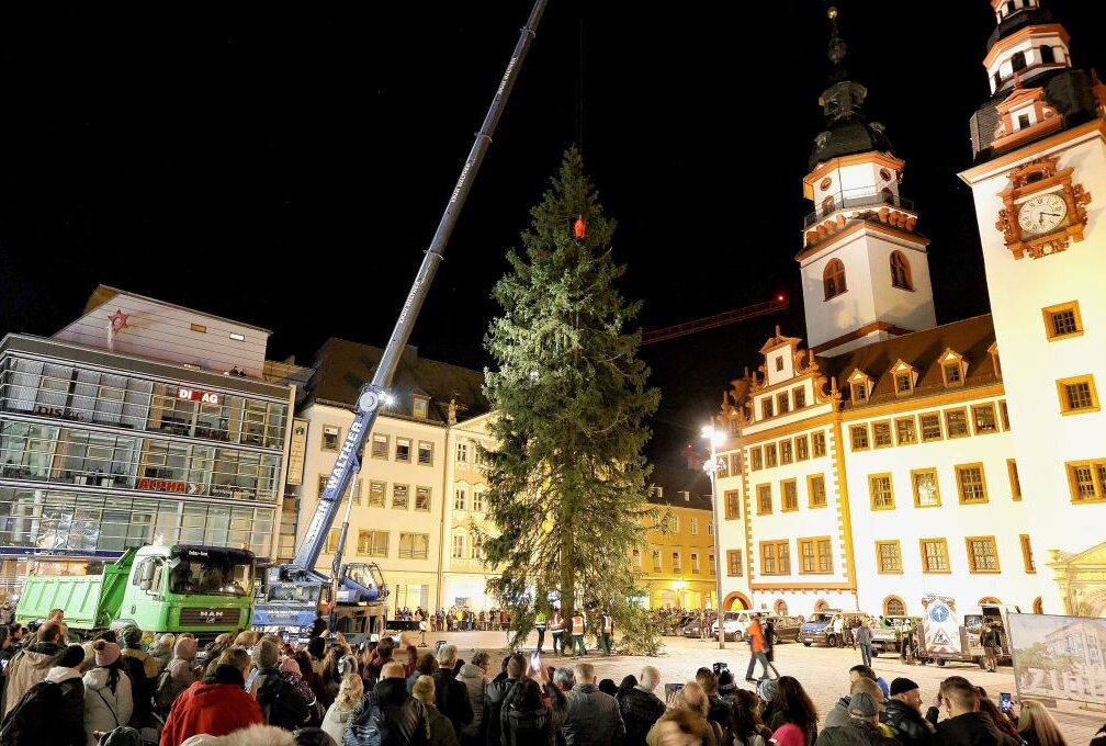 Weihnachtsbaum auf Chemnitzer Markt eingetroffen - Zahlreiche Schaulustige waren beim Aufstellen des Baumes dabei. Foto: Jan Härtel/Chempic