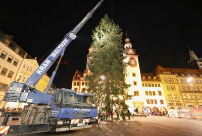 Weihnachtsbaum auf Chemnitzer Markt eingetroffen - Der Weihnachtsbaum ist auf dem Chemnitzer Markt angekommen. Foto: Jan Härtel/Chempic