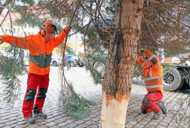 Tim Uhlig (r.) und Jörg Klemm vom Freiberger Bauhof passen den Baum vorsichtig ein. Foto: Wieland Josch