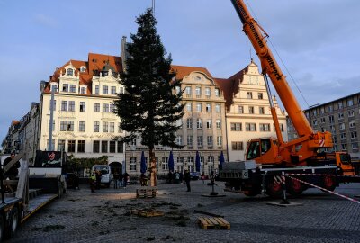 Weihnachtsbaum wird auf Leipziger Marktplatz aufgestellt - Der Weihnachtsbaum wird in Leipzig aufgestellt. Foto: Christian Grube/Archeopix