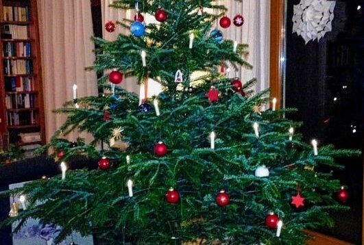 Weihnachtsbaumranking: Die Nordmanntanne ist der Liebling aller! - Der Baum wird überall festlich geschmückt.Foto: Steffi Hofmann
