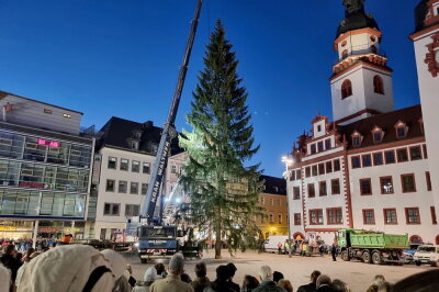 Weihnachtsfichte auf dem Weg nach Chemnitz - Der Chemnitzer Weihnachtsbaum steht und viele Schaulustige beobachten den Baum. Foto: Harry Haertel