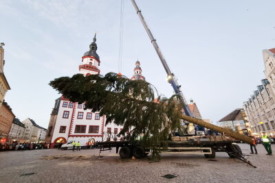 Weihnachtsfichte auf dem Weg nach Chemnitz - Der Chemnitzer Weihnachtsbaum wird aufgebaut. Foto: Harry Haertel