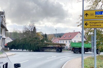 Aktuell befindet sich die 28 Meter hohe Weihnachtsfichte auf dem Weg nach Chemnitz. Foto: Harry Haertel