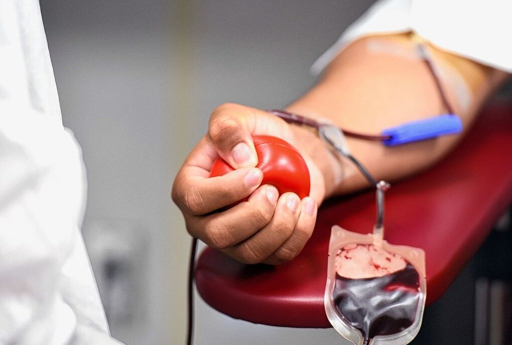 Weltblutspendetag: Was es zum Blutspenden zu wissen gibt - Symbolbild. Foto: Michelle Gordon/Pixabay
