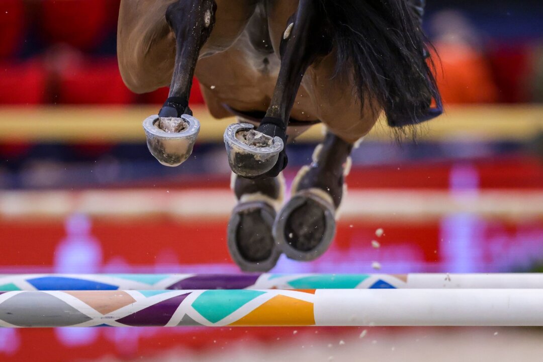 Weltcup in Riad: Sportwashing mit Pferden oder Tradition? - Das diesjährige Finale des Weltcups wird in Riad geritten.