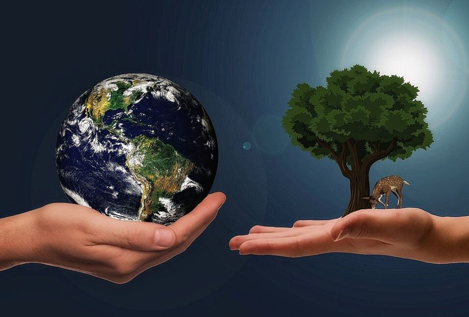 Welttag des Naturschutzes: Für eine bewusste Gesellschaft - Heute ist Welttag des Naturschutzes: Für eine bewusste Gesellschaft. Foto: pixabay