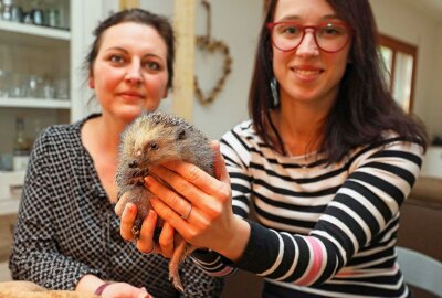 Werdau: Wenn kleine Igel Hilfe benötigen - Die Igel-Mamas Sandra Kühnert (r.) und Claudia Schindler. Foto: Michel