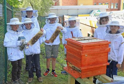 Werdauer Gymnasiasten arbeiten mit Bienen - Die jungen Imker aus dem Werdauer Gymnasium. Foto: Thomas Michel