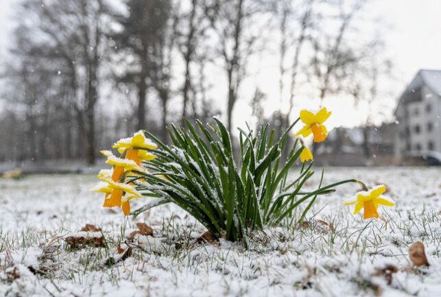 Wetterkapriolen im Vogtland: Kurzes Wintercomeback eine Woche vor Ostern - Wetterkapriolen im Vogtland. Foto: David Rötzschke