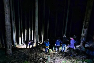 Wie Kindern im Oberen Vogtland ein Ferienhöhepunkt bereitet wurde - Eine Nachtwanderung durch den Poetenwald in Markneukirchen gab es auch. Foto: Nicole Pätz