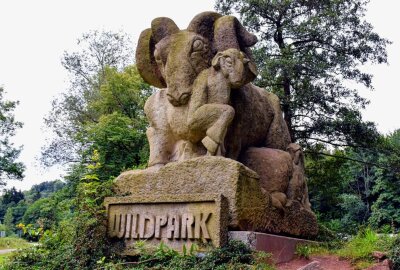 Wildpark Osterzgebirge: Immer einen Besuch wert - Im Wildpark Osterzgebirge gibt es einiges zu entdecken. Foto: Maik Bohn