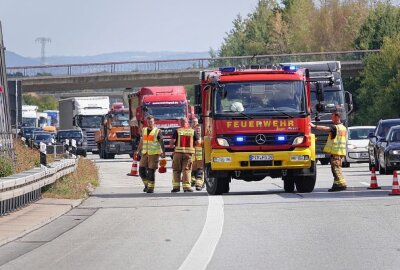 Wildunfall bei Dresden: Rehfamilie verendet noch am Unfallort - Heute kam es auf der Autobahn 17 zu einem Wildunfall. Foto: Roland Halkasch