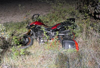 Wildunfall mit Motorrad: Zwei Verletzte - Wildunfall bei Leipzig. Foto:Sören Müller