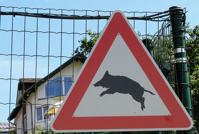 Wildunfall mit Wolf und Reh - Mehrere Wildunfälle ereigneten sich in Neustadt. Foto: Pixabay