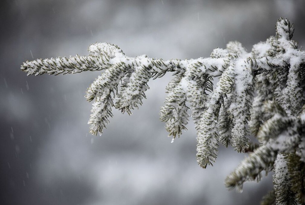 Winterintermezzo: Schneedecke auf dem Fichtelberg - Frühling ade - nach dem frühlingshaften Wetter gibt es bis zum Wochenende einen Wintereinbruch bis ins Flachland. Foto: Bernd März/B&S