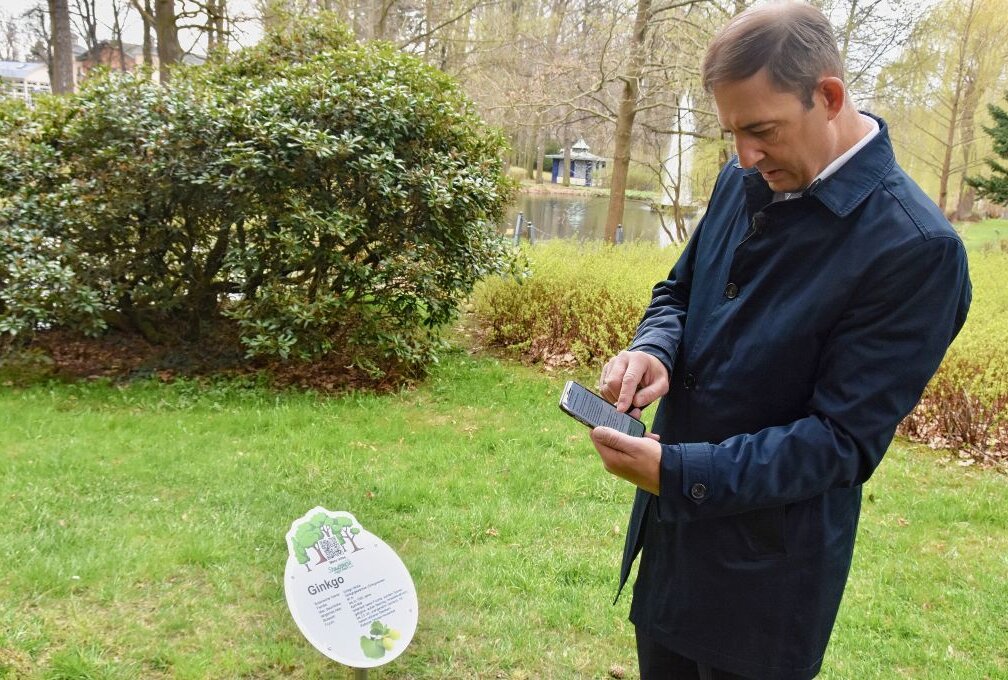 Oberbürgermeister Jesko Vogel hat den neuen Baumlehrpfad ausprobiert. Mit dem Handy hat er den QR-Code eines Schildes gescannt und dadurch weitere Informationen über den Baum erhalten.Foto: Hofmann