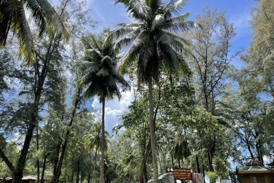 Wo Thailands Inseln noch einsam sind - Eine der wenigen Spuren menschlicher Zivilisation auf Tarutao: der gepflegte Parkeingangsbereich.