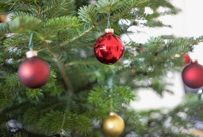 Wohin mit dem Weihnachtsbaum? - Ab 9. Januar werden die Bäume vom ASR in Chemnitz abgeholt. Foto: pixabay