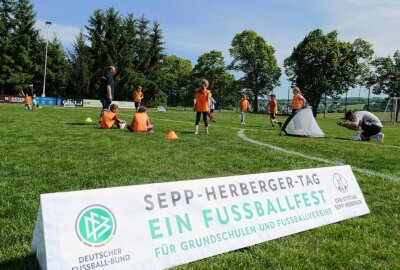 Wolkensteiner Fußballfest lockt sogar den DFB-Vizepräsidenten an - Vor allem aber freuten sich die Kinder über viel Action. Foto: Andreas Bauer