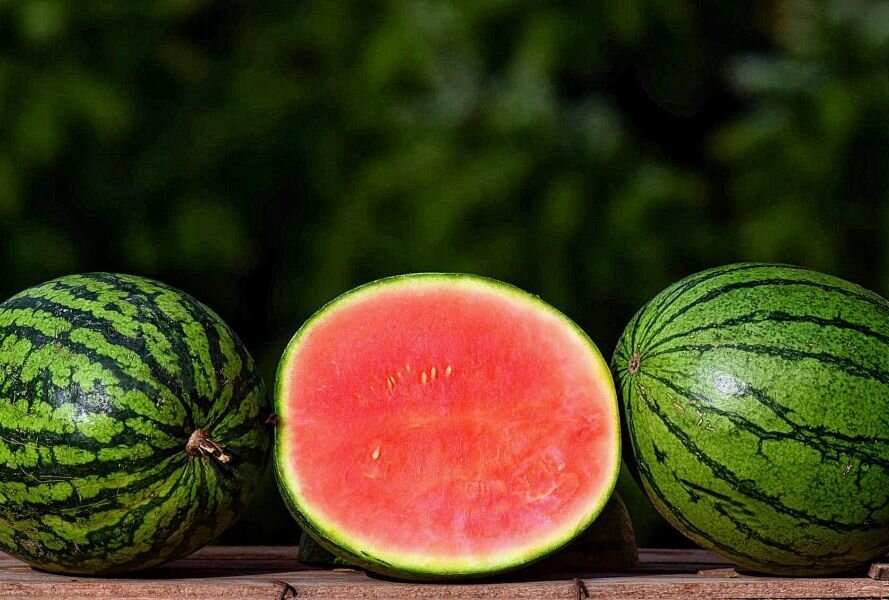 Woran erkennt man die perfekte Melone? - BLICK gibte Tipps, wie ihr die süßeste Melone findet. Foto: ulleo/pixabay