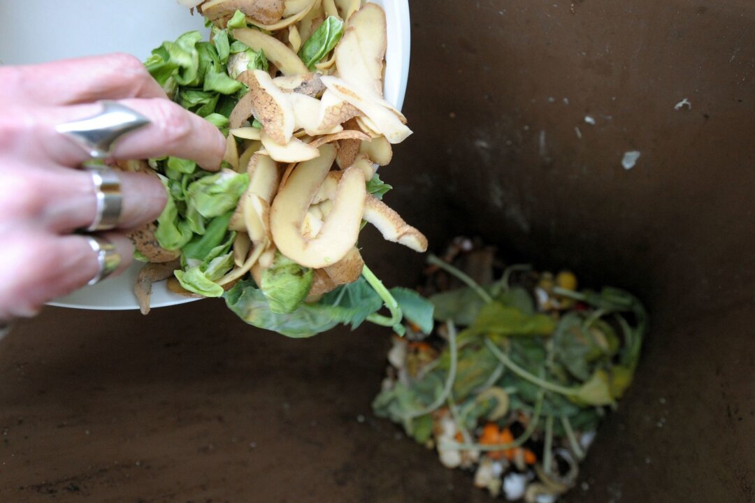 Wurmkompost: Geht auch ohne Garten - Alternative zur Biotonne: Mithilfe einer Wurmkiste können Bioabfälle in fruchtbare Erde umgewandelt werden.