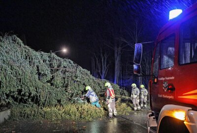 "Ylenia" wütet in Oberlungwitz: Feuerwehr beräumt umgestürzte Bäume - Straße und Gehweg waren versperrt. Foto: Andreas Kretschel
