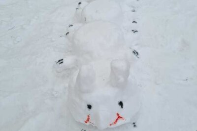 Zahlreiche Einsendungen: Das sind die schönsten Schneemänner der Region - Unzählige kreative Schneekünste sind eingereicht worden.